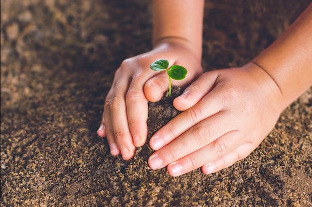 mani che curano piantine.jpg